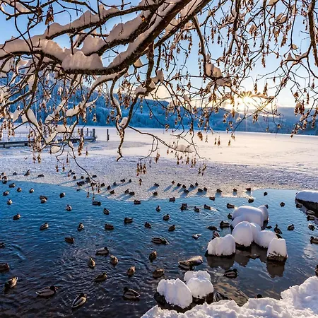 Gaestehaus Seewald- 6 