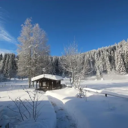 Gaestehaus Seewald- 6 